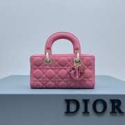 Dior D-Joy Bag In Pink 22.5×12×5.5cm - 1