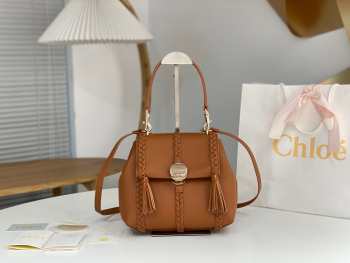 Chloe Penelope Mini Bag In Brown 22x14x9cm