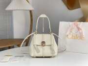 Chloe Penelope Mini Bag In White 22x14x9cm - 1