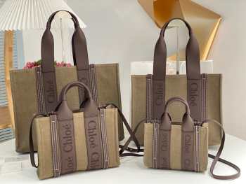 Chloe Woody Family Bag In Brown 26.5x20x8cm