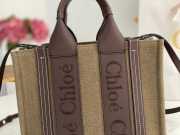 Chloe Woody Family Bag In Brown 26.5x20x8cm - 6