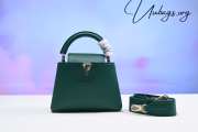 LV M21690 Capucines Green Bag 21x14x8cm - 1