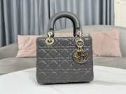 Lady Dior My ABCDior Bag In Gray With Gold Buckle 20x17x8cm - 1