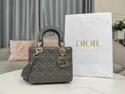 Lady Dior My ABCDior Bag In Gray With Gold Buckle 20x17x8cm - 6