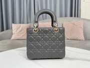 Lady Dior My ABCDior Bag In Gray With Gold Buckle 20x17x8cm - 3