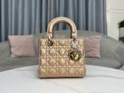 Lady Dior Rose Gold My ABCDior Bag 20x17x8cm - 1