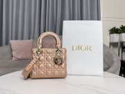 Lady Dior Rose Gold My ABCDior Bag 20x17x8cm - 3