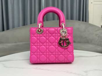 Lady Dior My ABCDior Bag In Pink With Silver Buckle 20x17x8cm