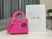 Lady Dior My ABCDior Bag In Pink With Silver Buckle 20x17x8cm - 2