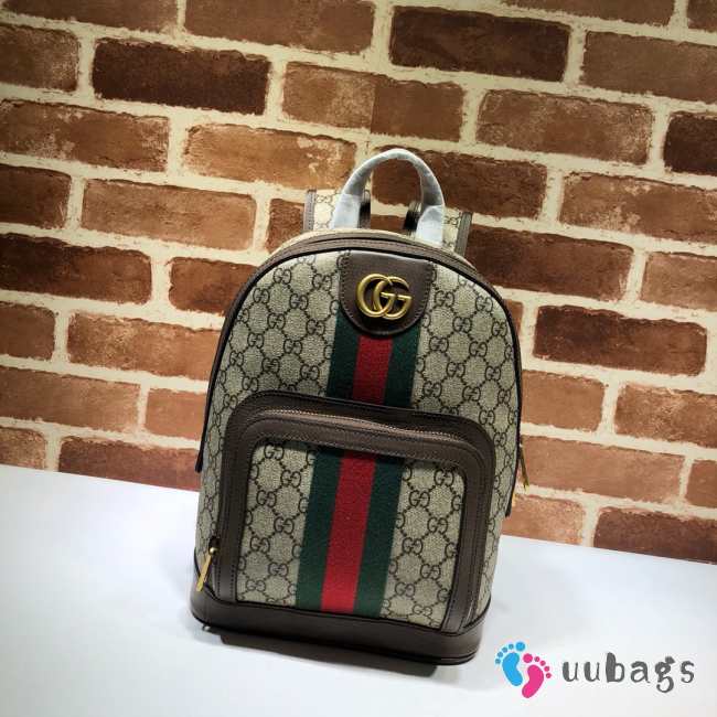 Gucci Ophidia GG small backpack in brown 22x29x15cm - 1