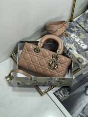 Dior Small Lady D-Joy Bag In Brown 22.5x12x4cm - 6