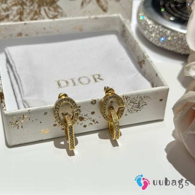 Dior Earrings E0005 - 1