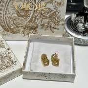 Dior Earrings E0005 - 2