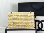 Chanel Flap bag raffia Tweed in yellow with silver hardware 20cm - 6