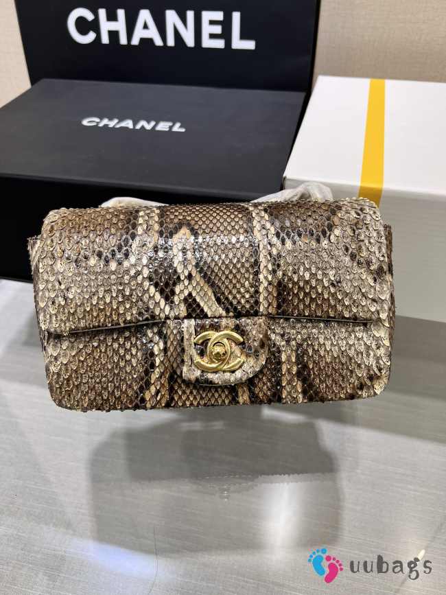 Chanel classic flap bag python skin  with gold buckle 01 20cm - 1