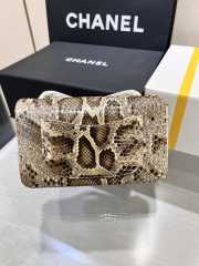 Chanel classic flap bag python skin  with gold buckle 01 20cm - 6