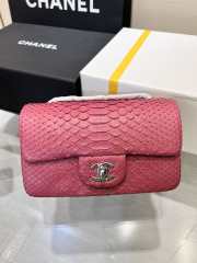 Chanel classic flap bag python skin with gold buckle 05 20cm - 1