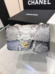 Chanel classic flap bag python skin with gold buckle 07 20cm - 1