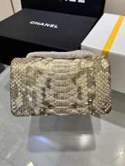 Chanel classic flap bag python skin with gold buckle 09 20cm - 5