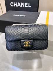 Chanel classic flap bag python skin with gold buckle 10 20cm - 1