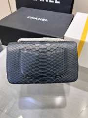 Chanel classic flap bag python skin with gold buckle 10 20cm - 6