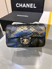 Chanel classic flap bag python skin with gold buckle 14 20cm - 1