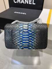 Chanel classic flap bag python skin with gold buckle 15 20cm - 6