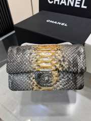 Chanel classic flap bag python skin with gold buckle 16 20cm - 1