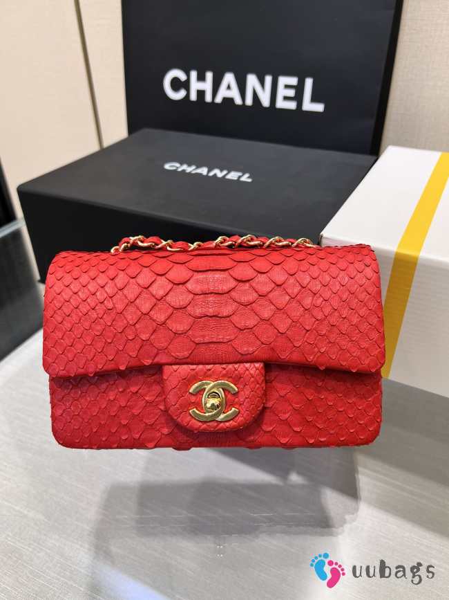 Chanel classic flap bag python skin with gold buckle 18 20cm - 1