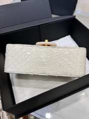 Chanel classic flap bag python skin with gold buckle 19 20cm - 5