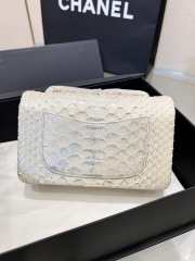 Chanel classic flap bag python skin with gold buckle 19 20cm - 3