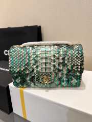 Chanel classic flap bag python skin with gold buckle 20 20cm - 1