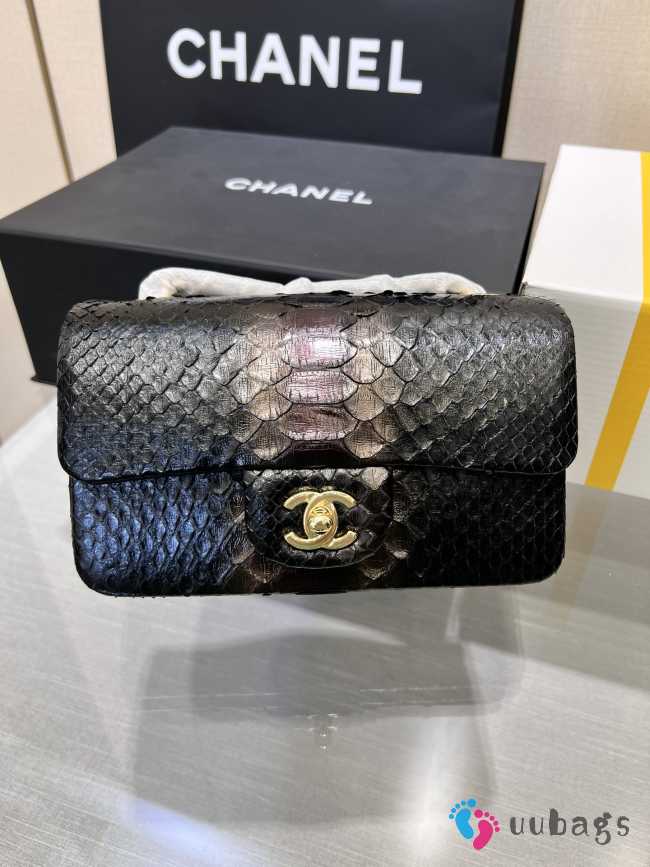 Chanel classic flap bag python skin with gold buckle 21 20cm - 1