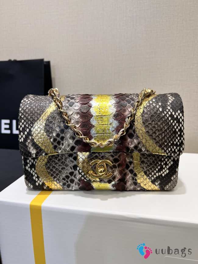 Chanel classic flap bag python skin with gold buckle 22 20cm - 1