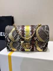 Chanel classic flap bag python skin with gold buckle 22 20cm - 1