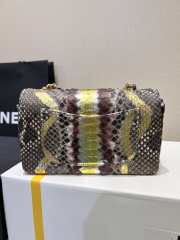 Chanel classic flap bag python skin with gold buckle 22 20cm - 6