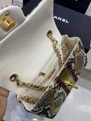 Chanel classic flap bag python skin with gold buckle 22 20cm - 5