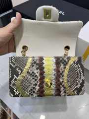 Chanel classic flap bag python skin with gold buckle 22 20cm - 4