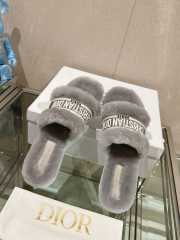 Dior Fur Mules Slipper In Gray  - 3