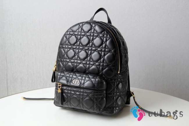 Christian Dior Dioramour Backpack In Black 21.5x31.5x13cm - 1