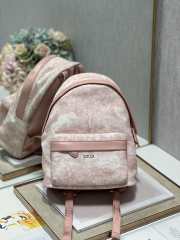 Dior pink backpack 23.5x11x32cm - 1