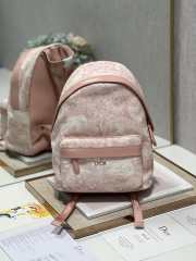 Dior pink backpack 23.5x11x32cm - 6