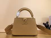 Louis Vuitton M59227 Capucines MM Bag In Brown 31.5x20x11cm - 1