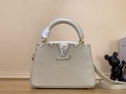 Louis Vuitton M24567 Capucines Mini 21x14x8cm - 1