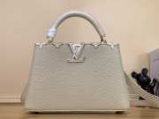 Louis Vuitton M24567 Capucines 27x18x9cm - 1