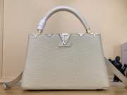 Louis Vuitton M24567 Capucines 31.5x20x11cm - 1