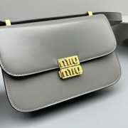 Miu Miu City Calf In Gray 20x13.5x5.5cm - 2