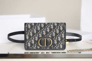 Dior 30 Montaigne Crossbody 2-in-1 Pouch Belt Bag  19x12.5x4cm