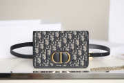 Dior 30 Montaigne Crossbody 2-in-1 Pouch Belt Bag  19x12.5x4cm - 5