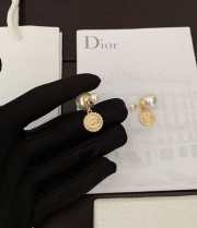 Dior Tribales Earrings - 2